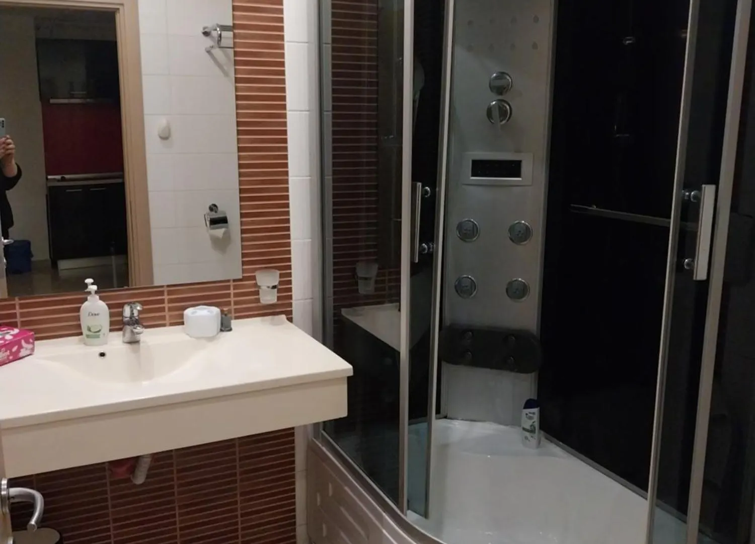 Liaemma Apartment Bucharest Romania